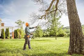 How Our Tree Care Process Works  in  Terrytown, LA